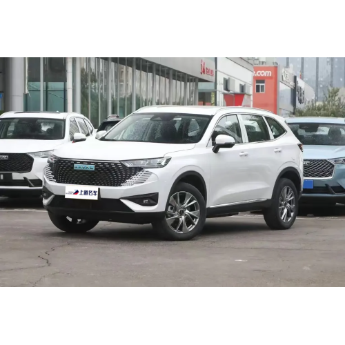 Hot Selling High Quality Haval H6 2022 New Electric Car With Cheap Price 4 wheel electric scooter